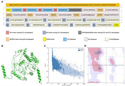 A multiepitope vaccine candidate against infectious bursal disease virus using immunoinformatics-based reverse vaccinology approach